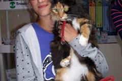 kotki_12_20140826_1511841321