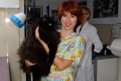 kotki_14_20140826_1994834969